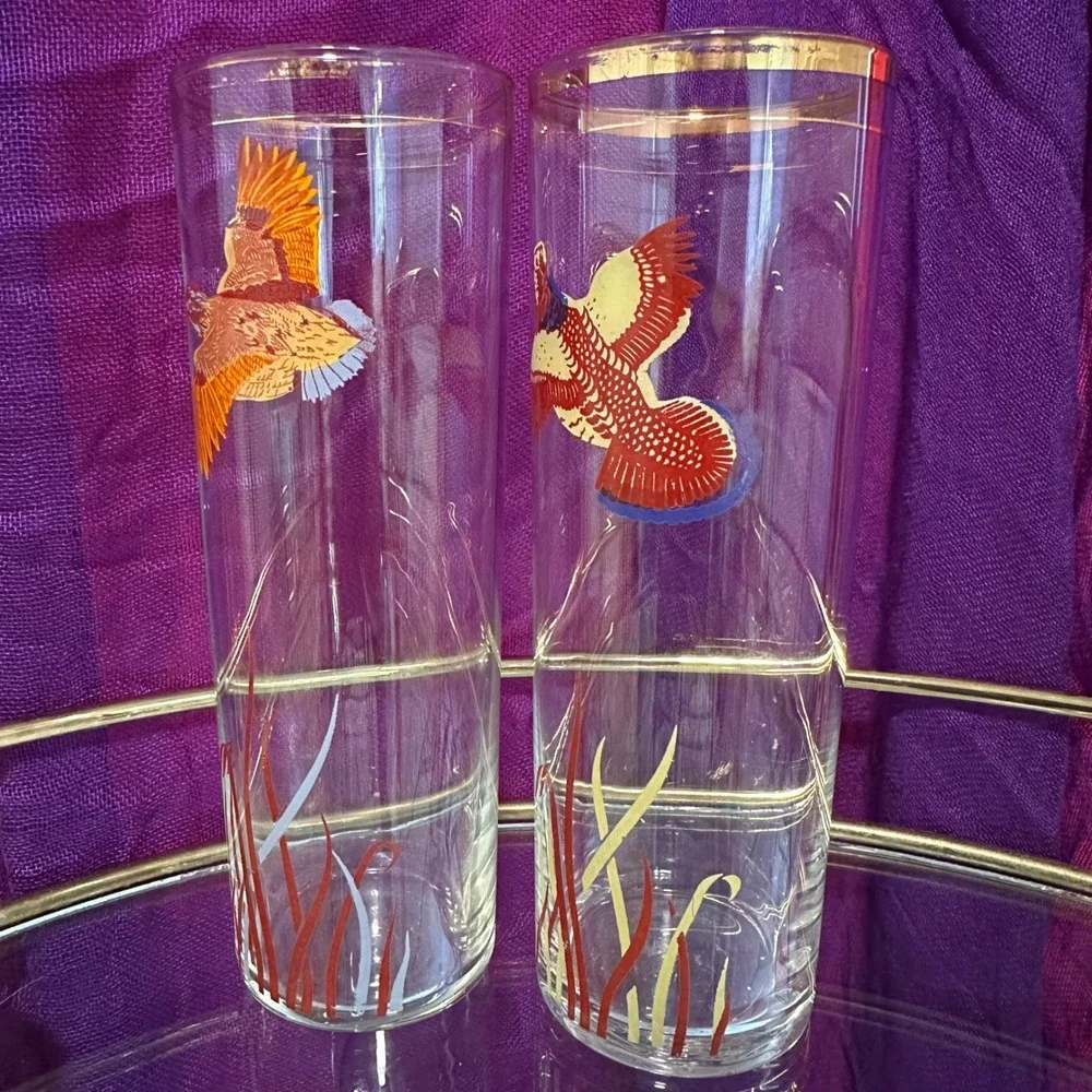 Vintage 1950s–1960s Pheasant Highball Glasses‎ Set of 2 Mid Century Fall Barware